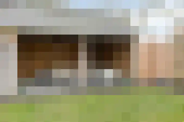 Dorpsstraat 75 Haule thumbnail 44