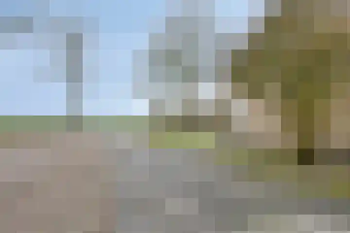 Dorpsstraat 75 Haule thumbnail 50