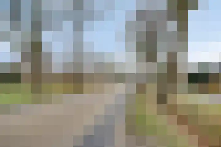 Dorpsstraat 75 Haule thumbnail 53