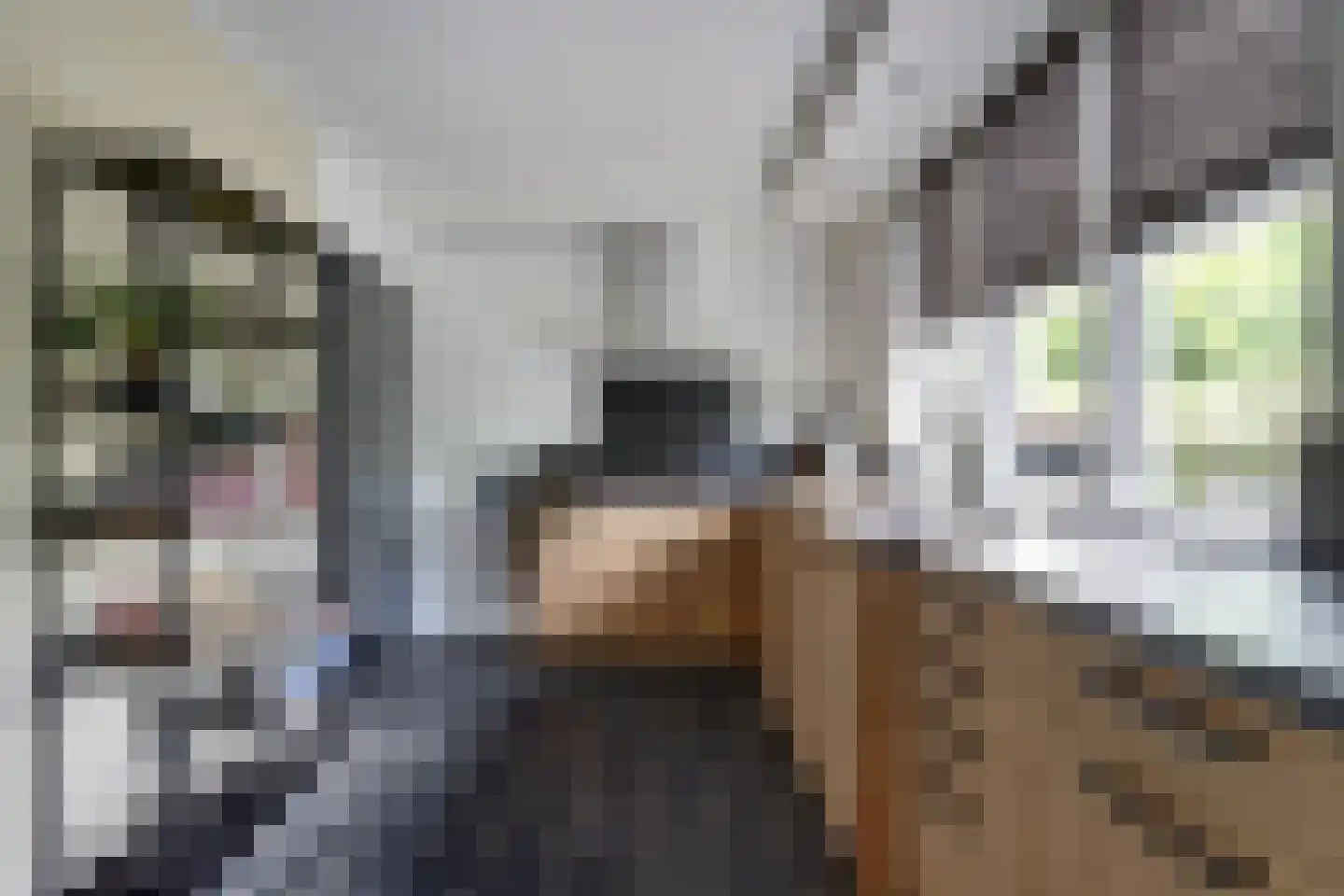 Dorpsstraat 75 Krabbendijke thumbnail 14