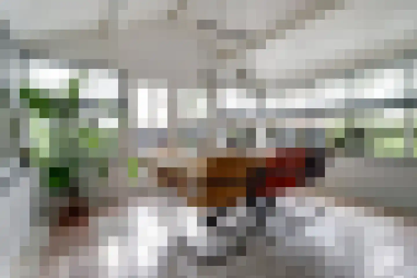 Dorpsstraat 75 Krabbendijke thumbnail 17