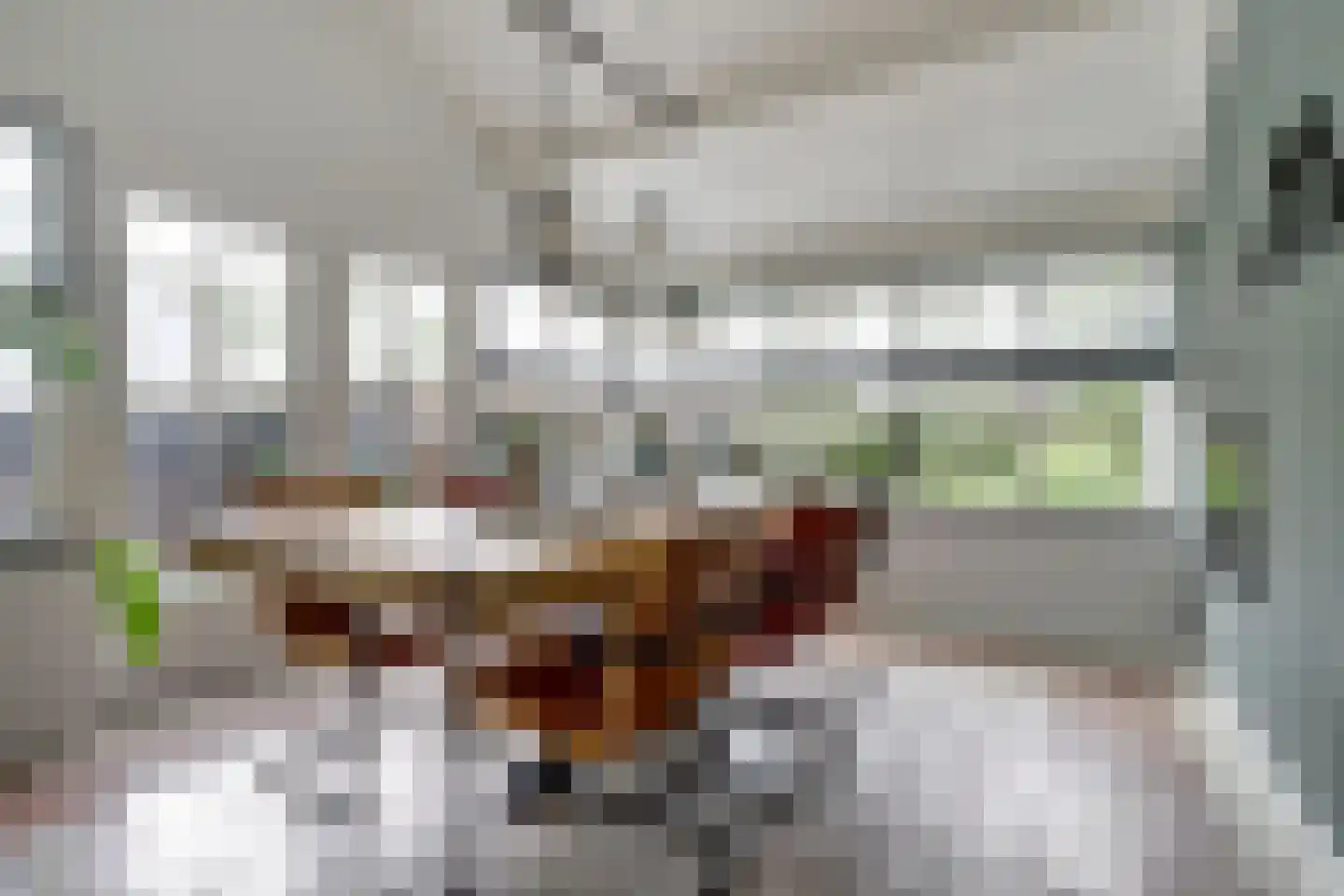 Dorpsstraat 75 Krabbendijke thumbnail 18
