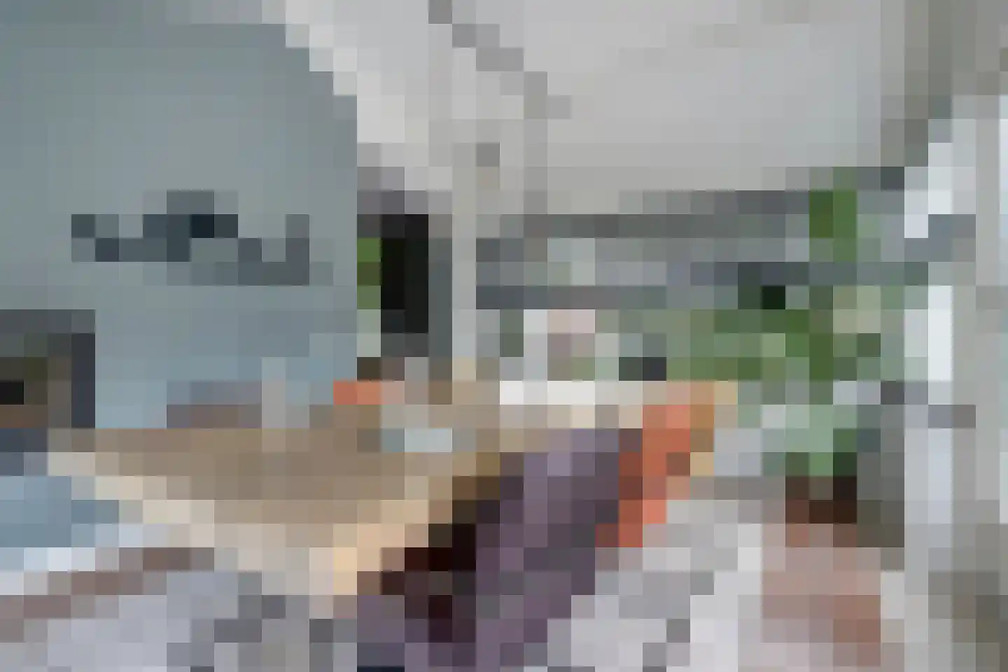 Dorpsstraat 75 Krabbendijke thumbnail 19
