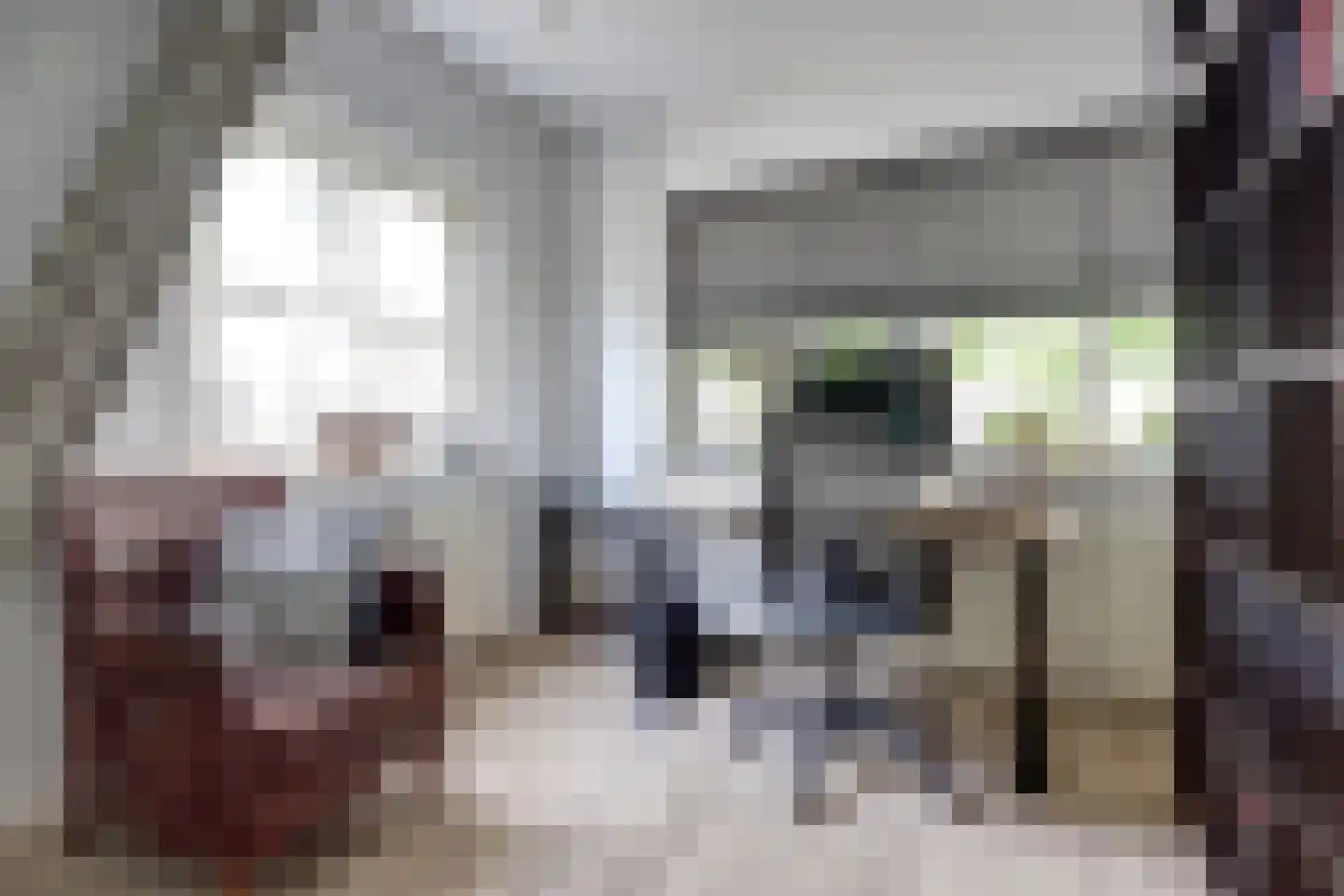 Dorpsstraat 75 Krabbendijke thumbnail 29