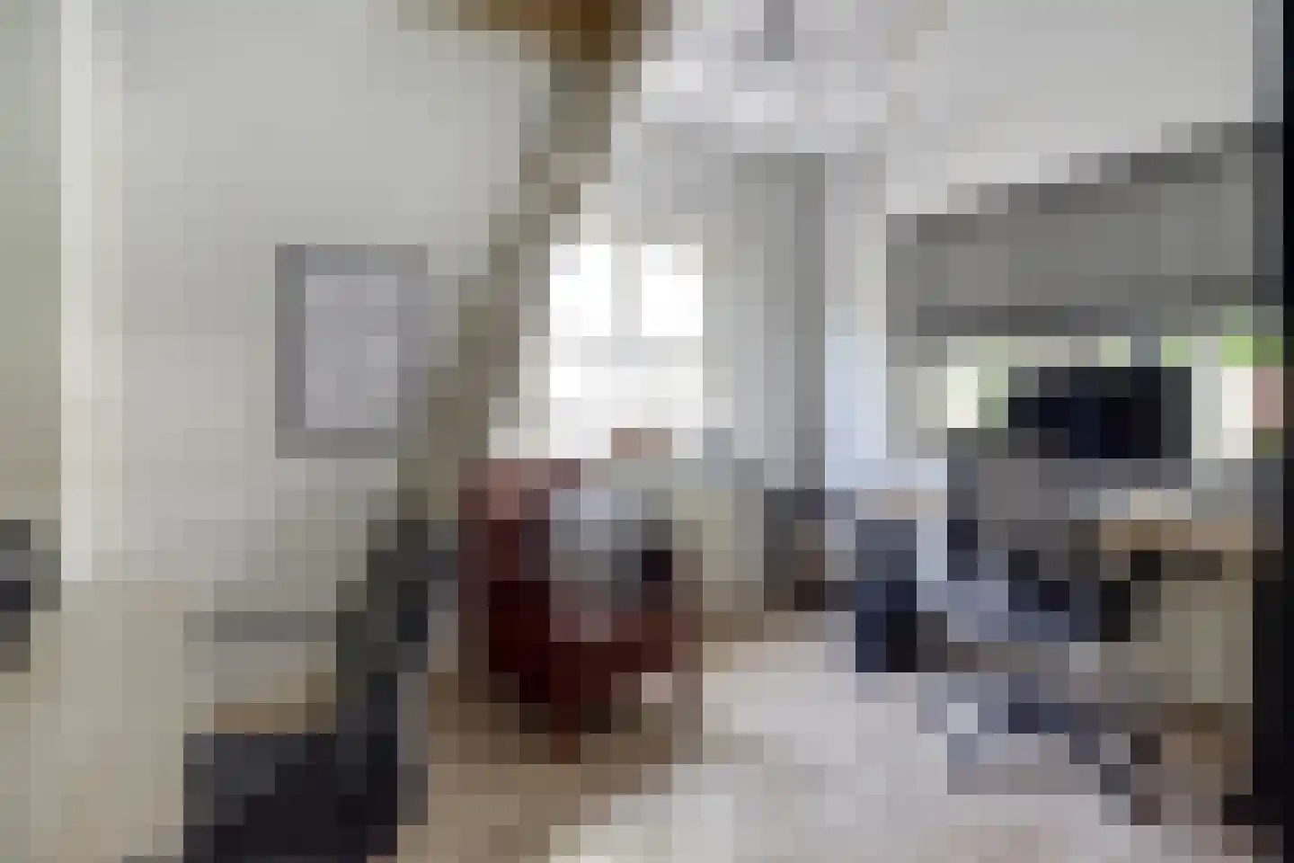 Dorpsstraat 75 Krabbendijke thumbnail 30
