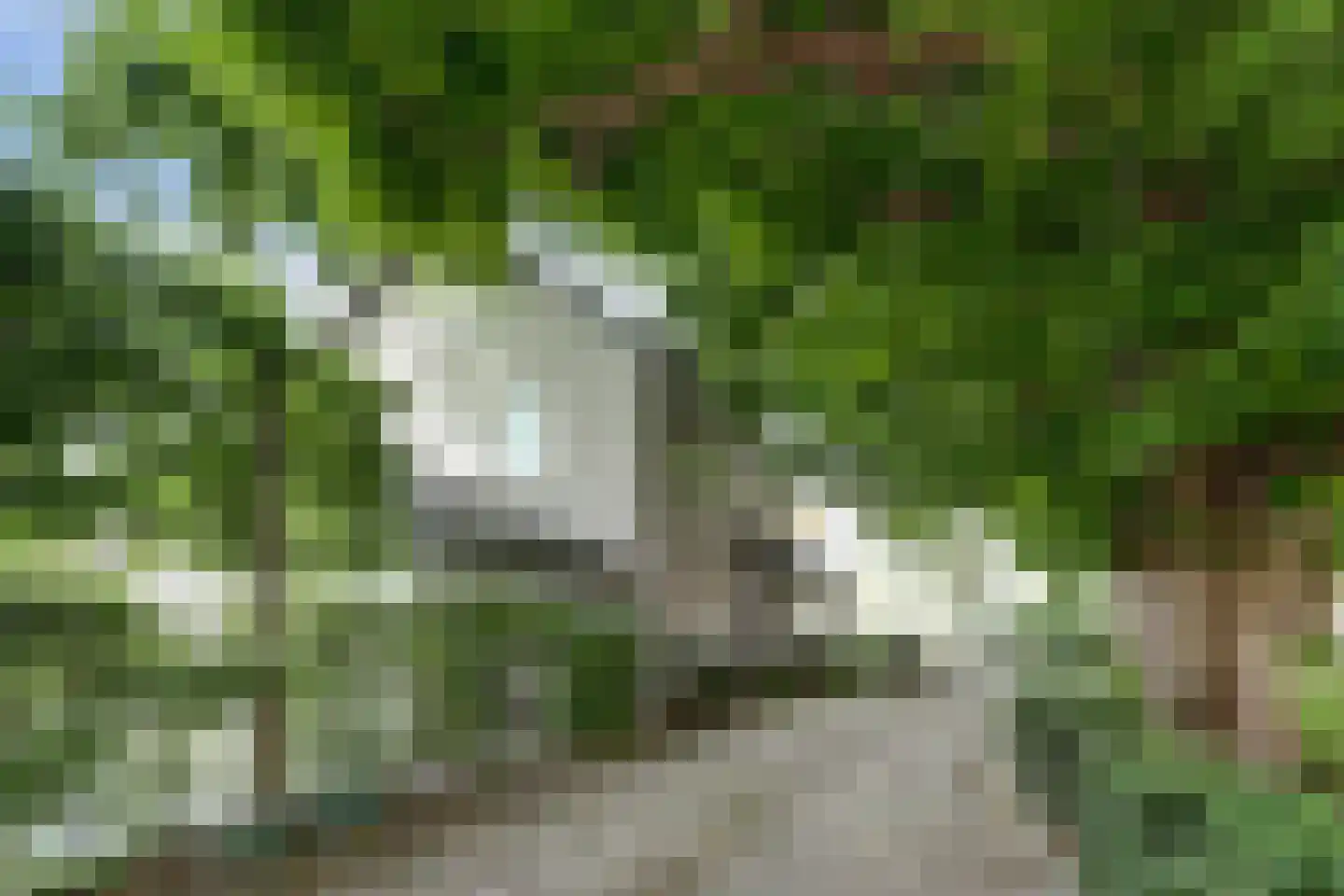 Dorpsstraat 75 Krabbendijke thumbnail 4