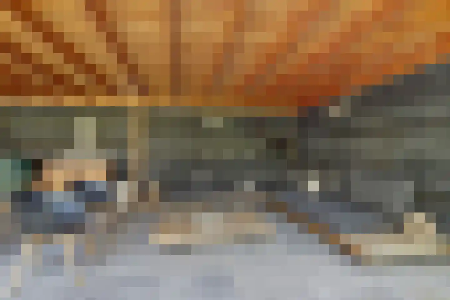 Dorpsstraat 75 Krabbendijke thumbnail 47