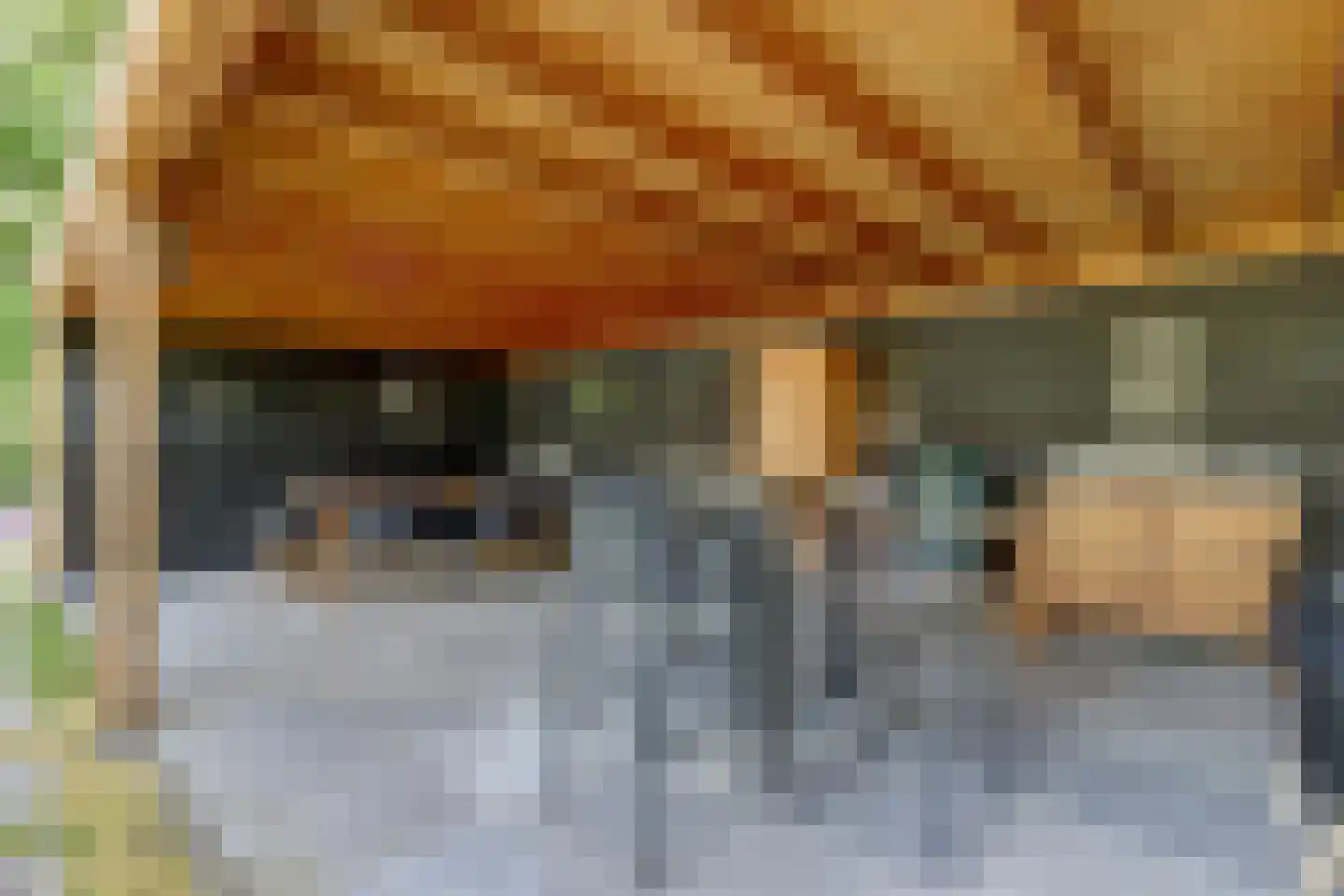 Dorpsstraat 75 Krabbendijke thumbnail 48