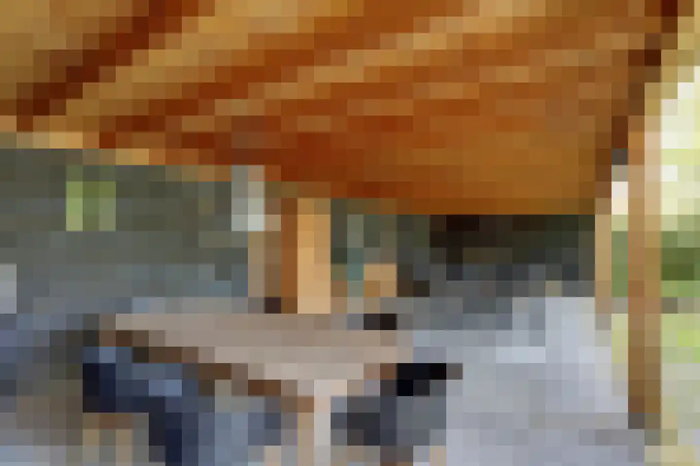 Dorpsstraat 75 Krabbendijke thumbnail 49