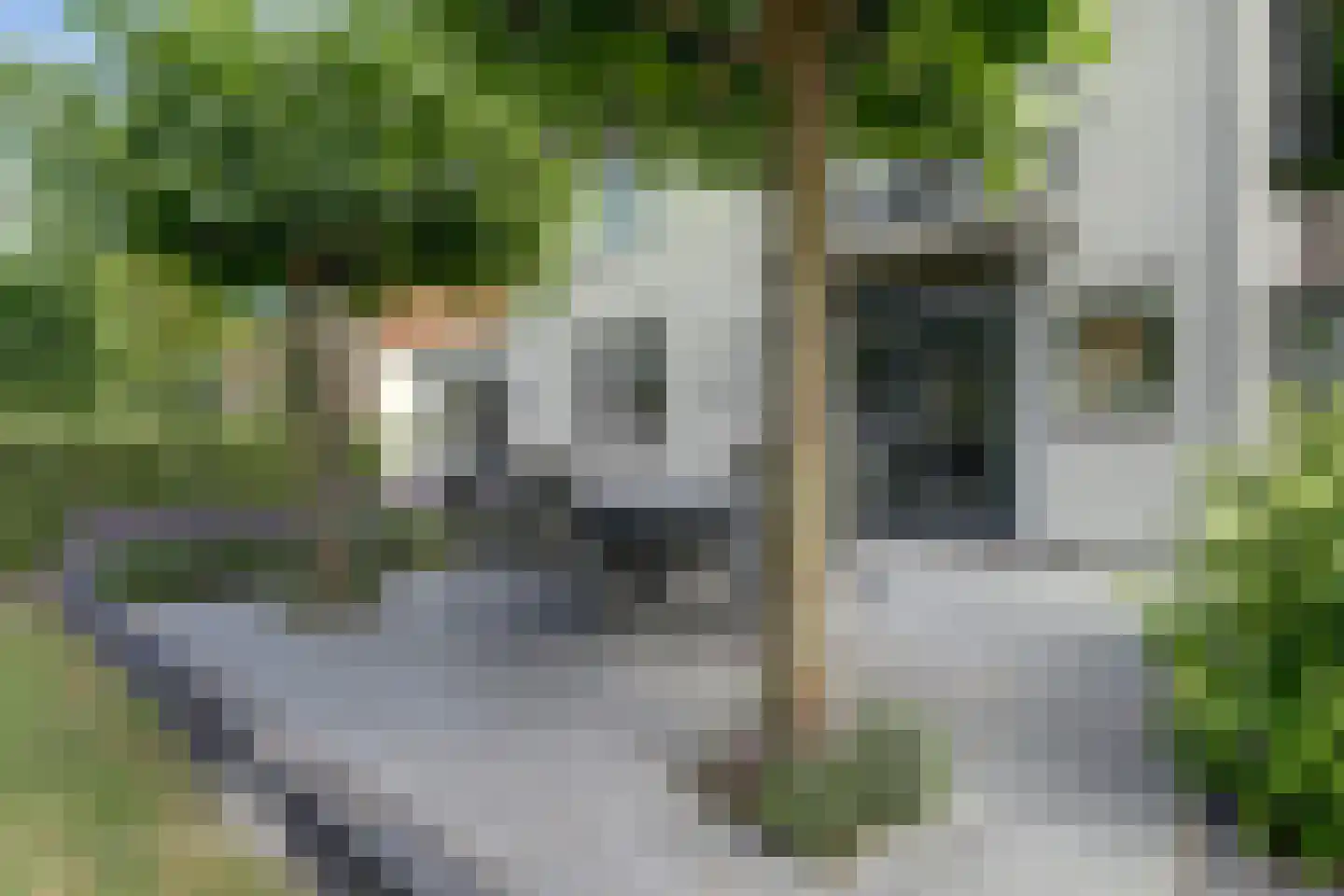 Dorpsstraat 75 Krabbendijke thumbnail 53