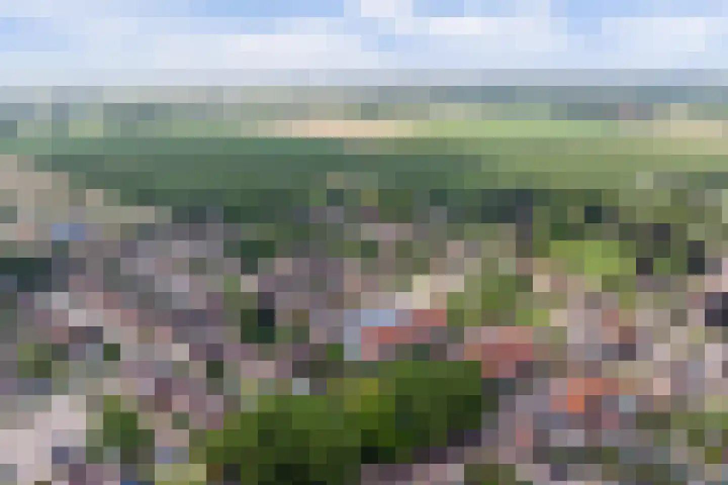 Dorpsstraat 75 Krabbendijke thumbnail 61