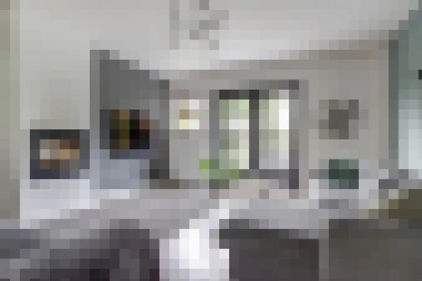 Dorpsstraat 75 Krabbendijke thumbnail 9