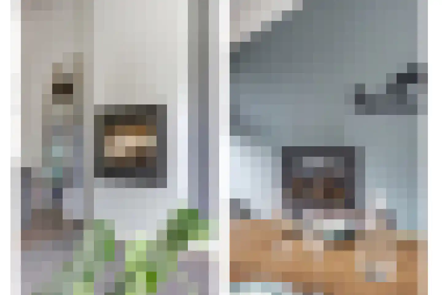 Dorpsstraat 75 Krabbendijke thumbnail 9