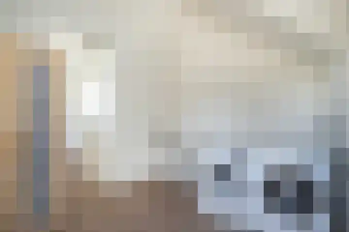Dorpsstraat 76 Bakel thumbnail 36