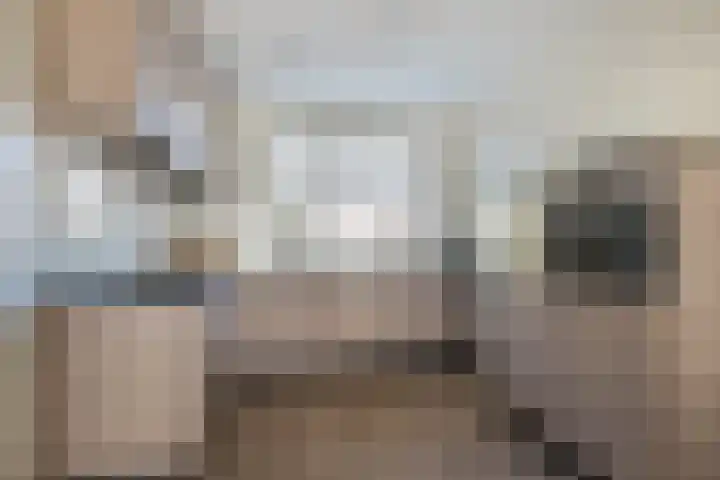 Dorpsstraat 76 Bakel thumbnail 4