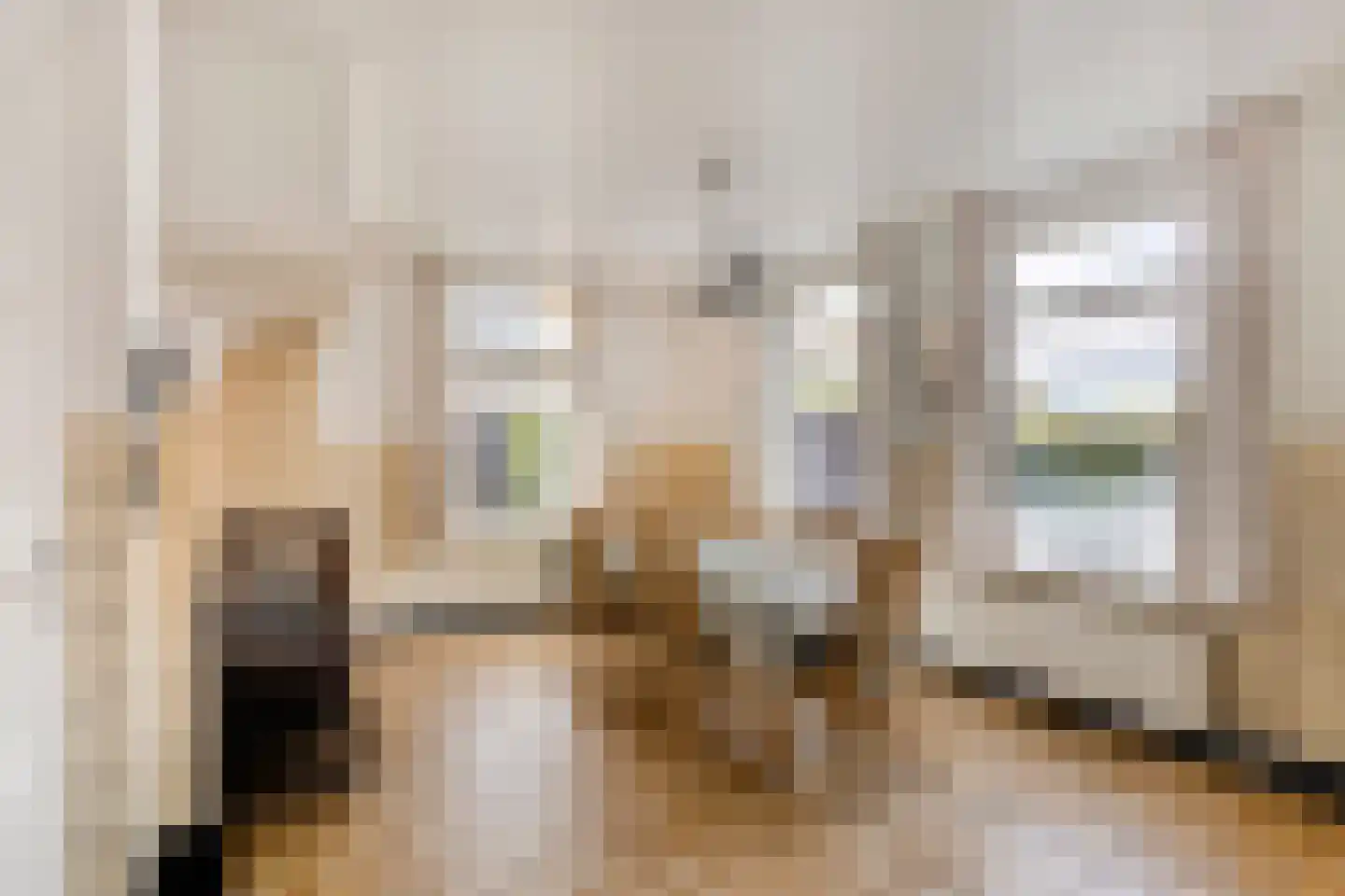 Dorpsstraat 76 Someren thumbnail 9