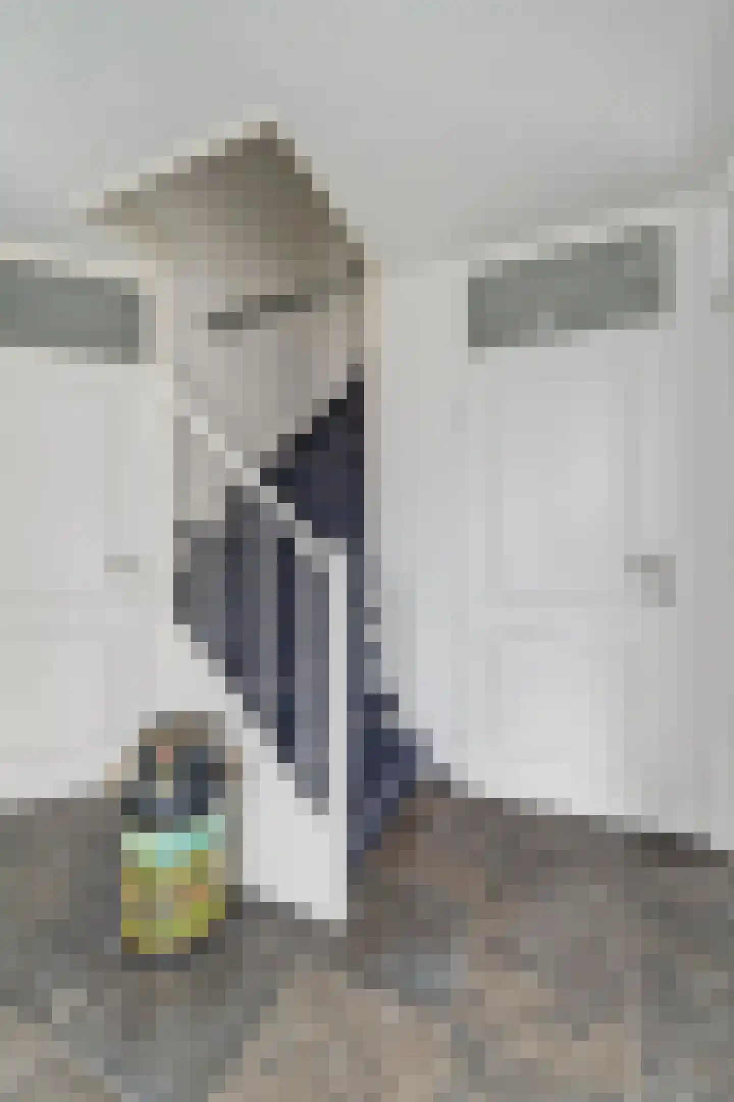 Dorpsstraat 77 d Enter thumbnail 4