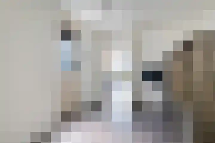 Dorpsstraat 77 Haule thumbnail 12