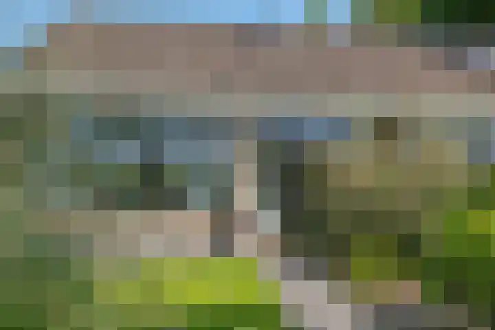 Dorpsstraat 77 Haule thumbnail 36