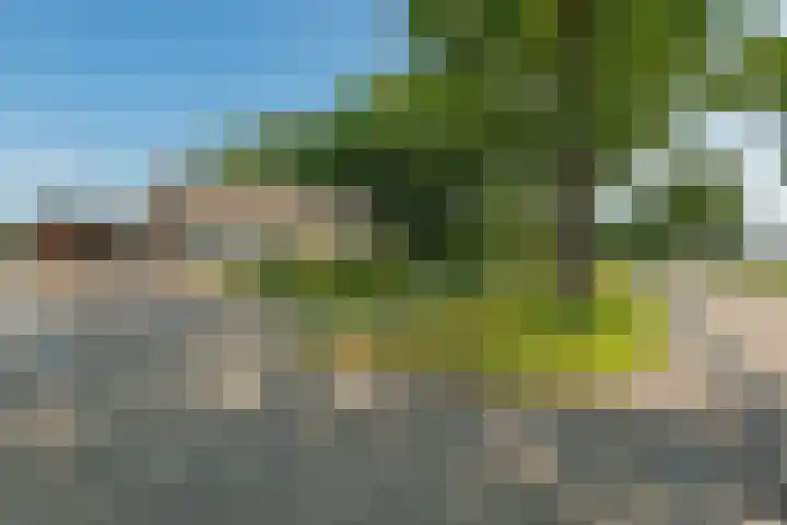 Dorpsstraat 77 Haule thumbnail 38