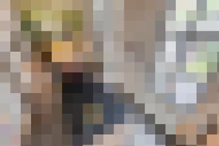 Dorpsstraat 77 Nispen thumbnail 10