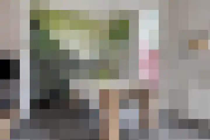 Dorpsstraat 77 Nispen thumbnail 12
