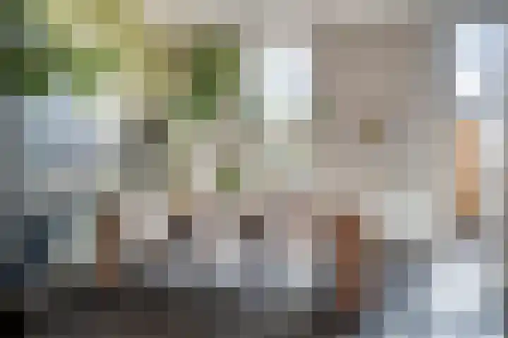 Dorpsstraat 77 Nispen thumbnail 13