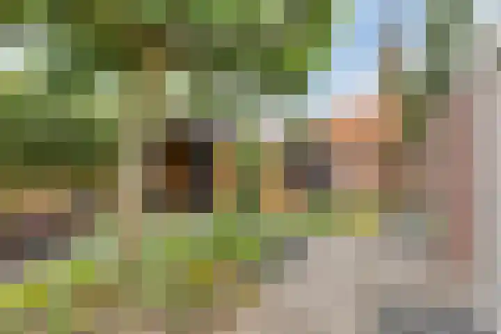 Dorpsstraat 77 Nispen thumbnail 33