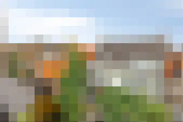 Dorpsstraat 77 Nispen thumbnail 35