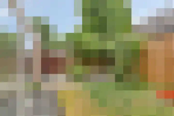 Dorpsstraat 77 Nispen thumbnail 36
