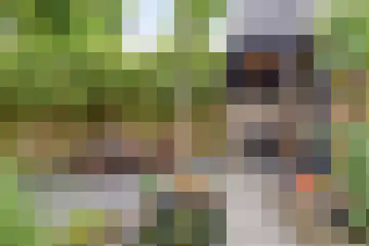 Dorpsstraat 77 Nispen thumbnail 4