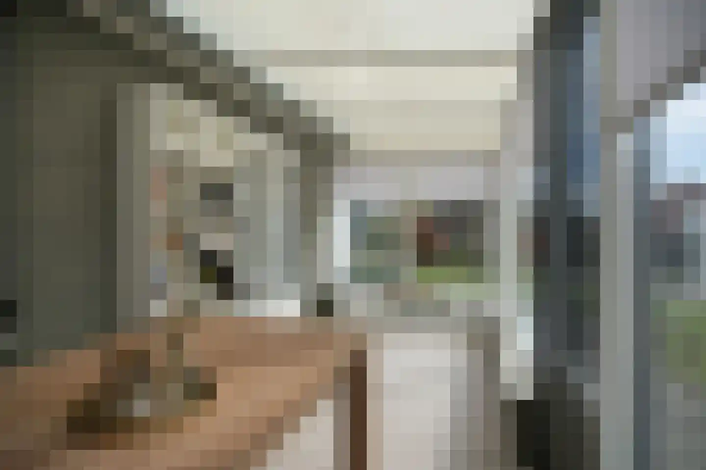 Dorpsstraat 77 Wamel thumbnail 18