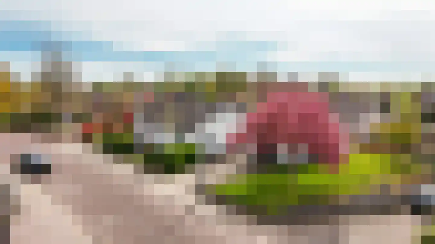 Dorpsstraat 77 Wamel thumbnail 49