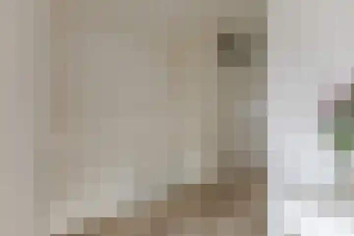 Dorpsstraat 772 Assendelft thumbnail 28