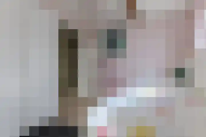 Dorpsstraat 772 Assendelft thumbnail 33