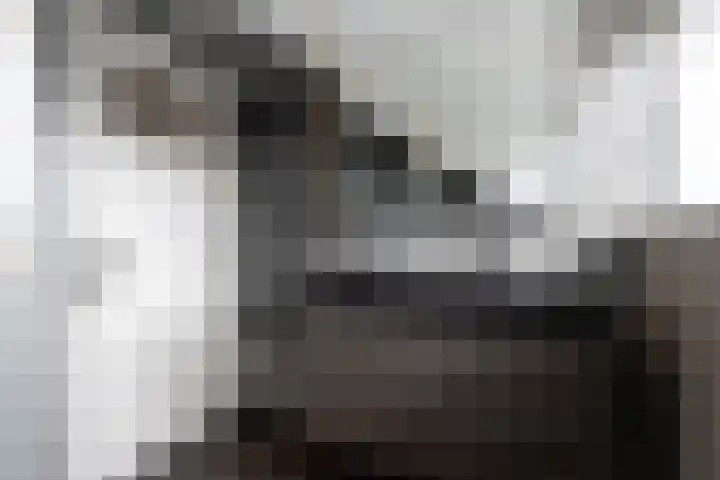 Dorpsstraat 772 Assendelft thumbnail 35