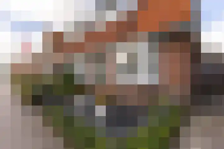 Dorpsstraat 772 Assendelft thumbnail 37