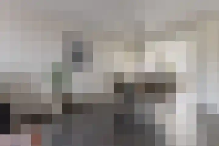 Dorpsstraat 772 Assendelft thumbnail 4