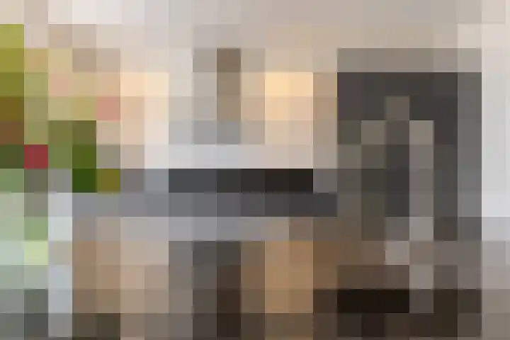 Dorpsstraat 772 Assendelft thumbnail 9