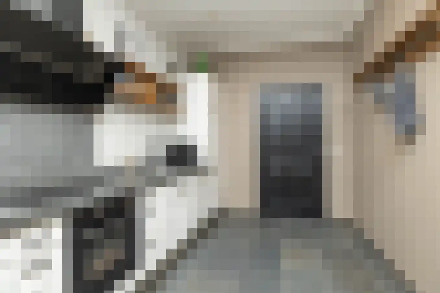 Dorpsstraat 78 a Koekange thumbnail 19