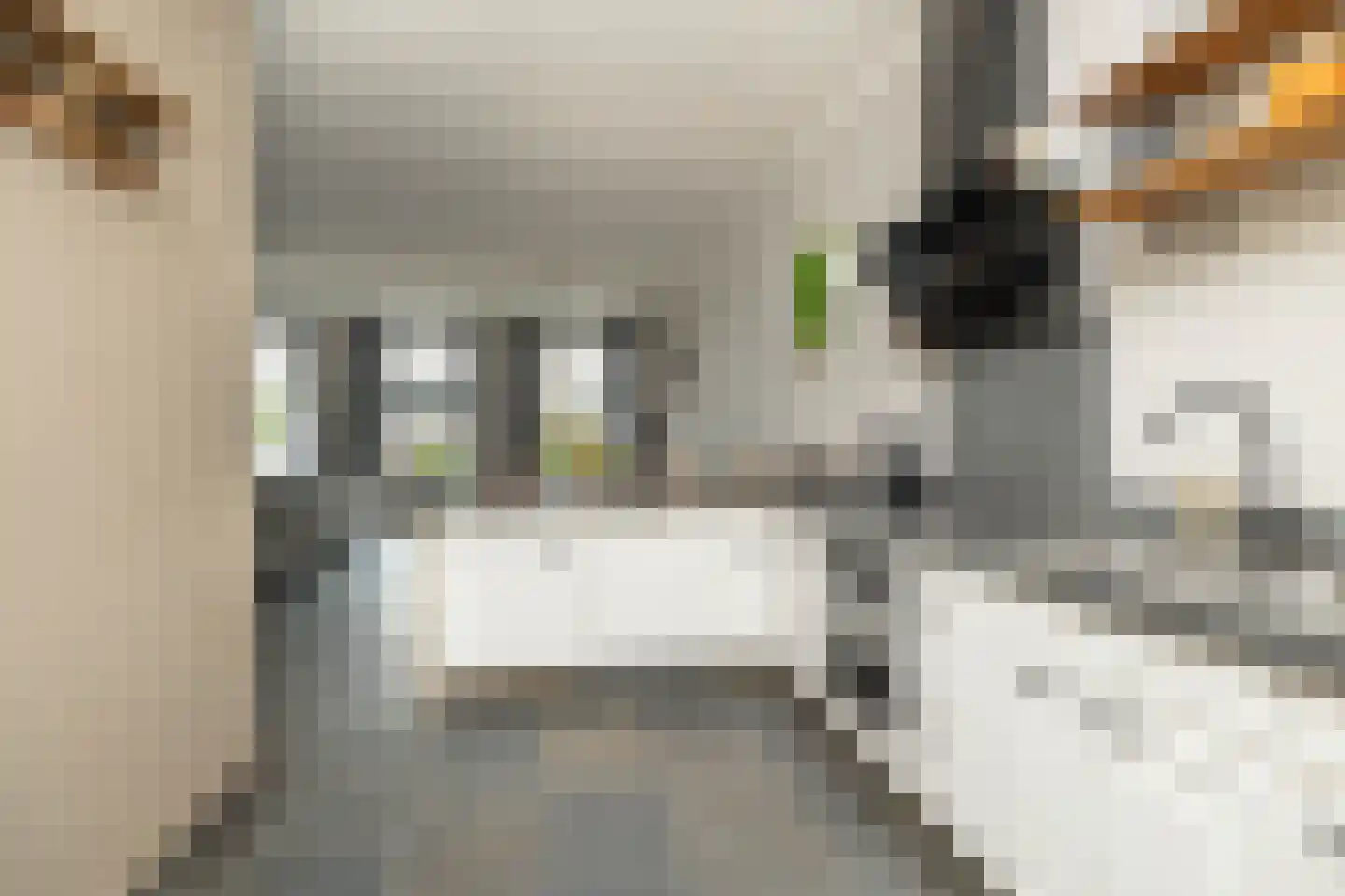 Dorpsstraat 78 a Koekange thumbnail 20