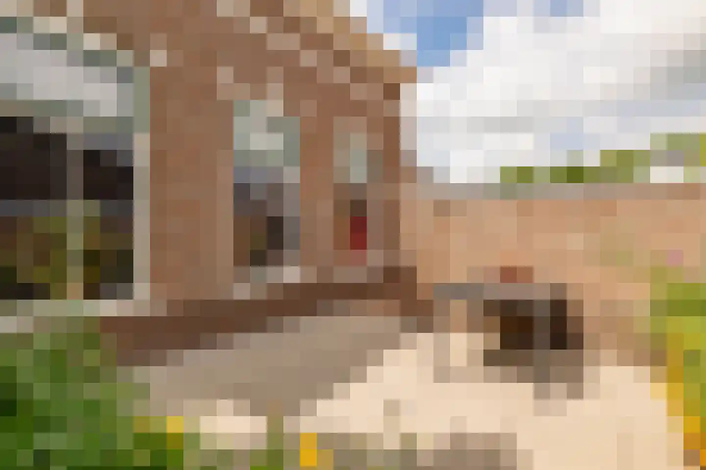 Dorpsstraat 78 a Koekange thumbnail 49