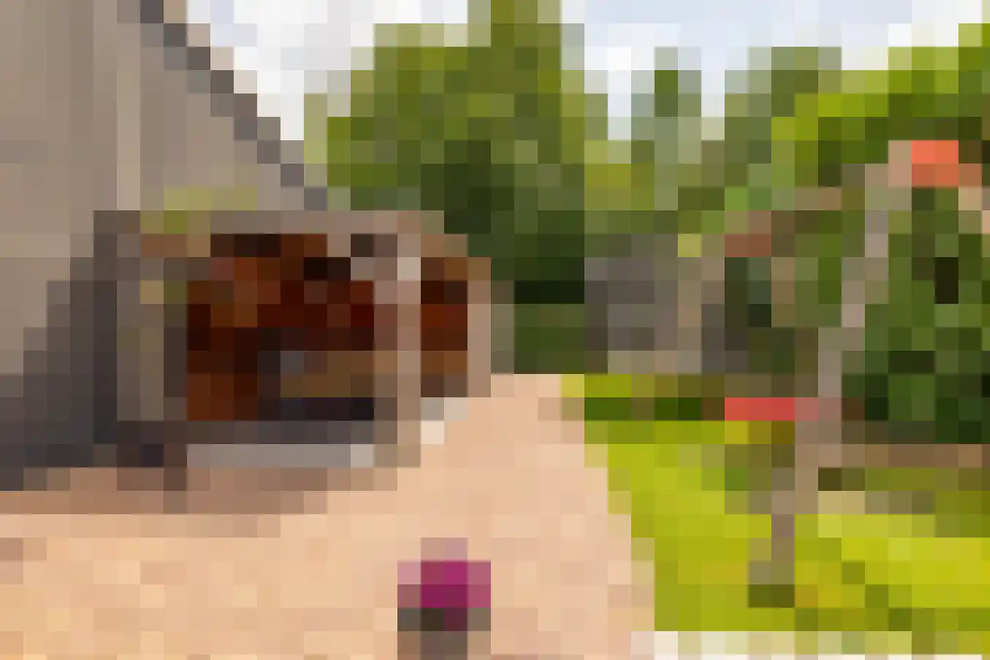Dorpsstraat 78 a Koekange thumbnail 51