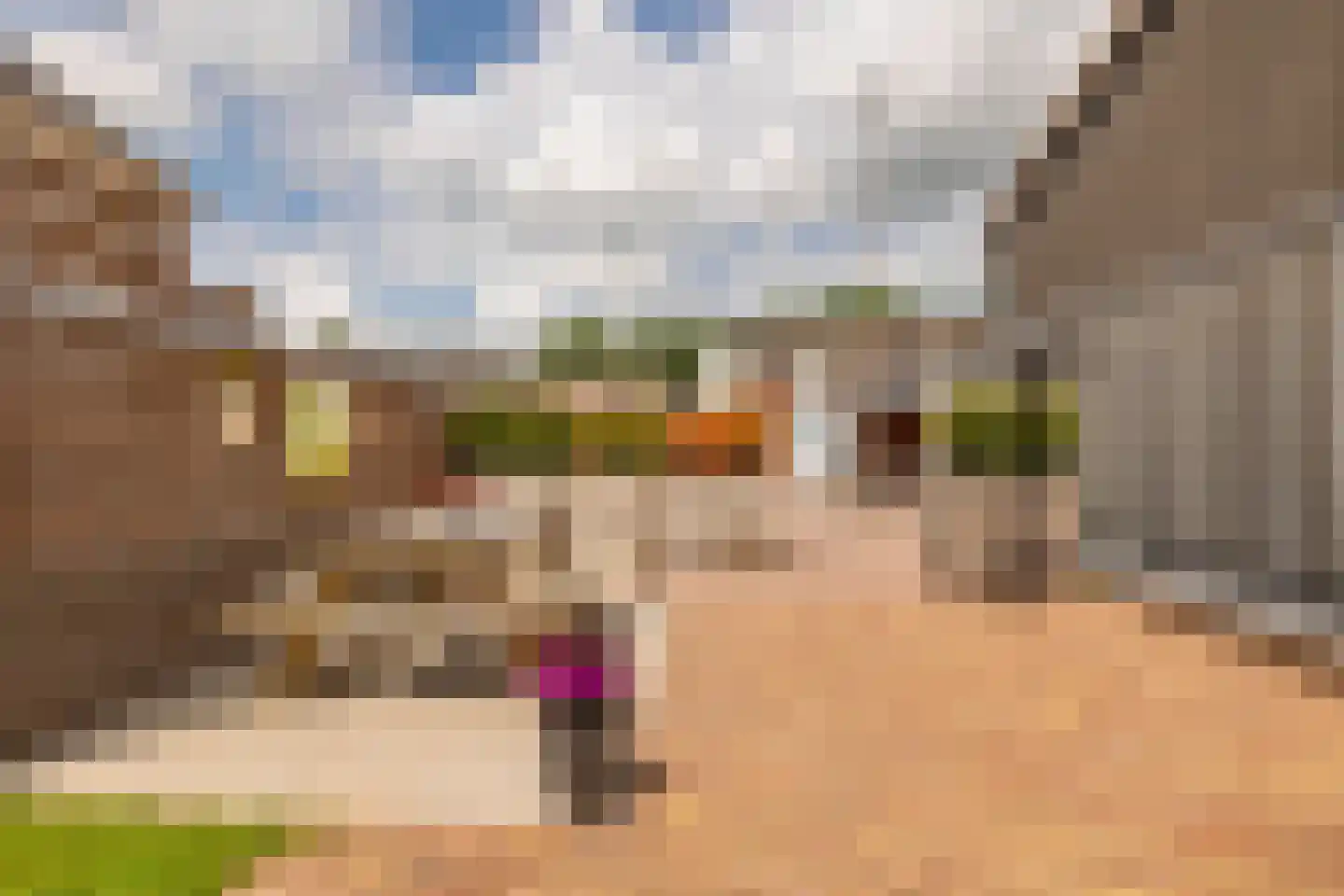 Dorpsstraat 78 a Koekange thumbnail 55