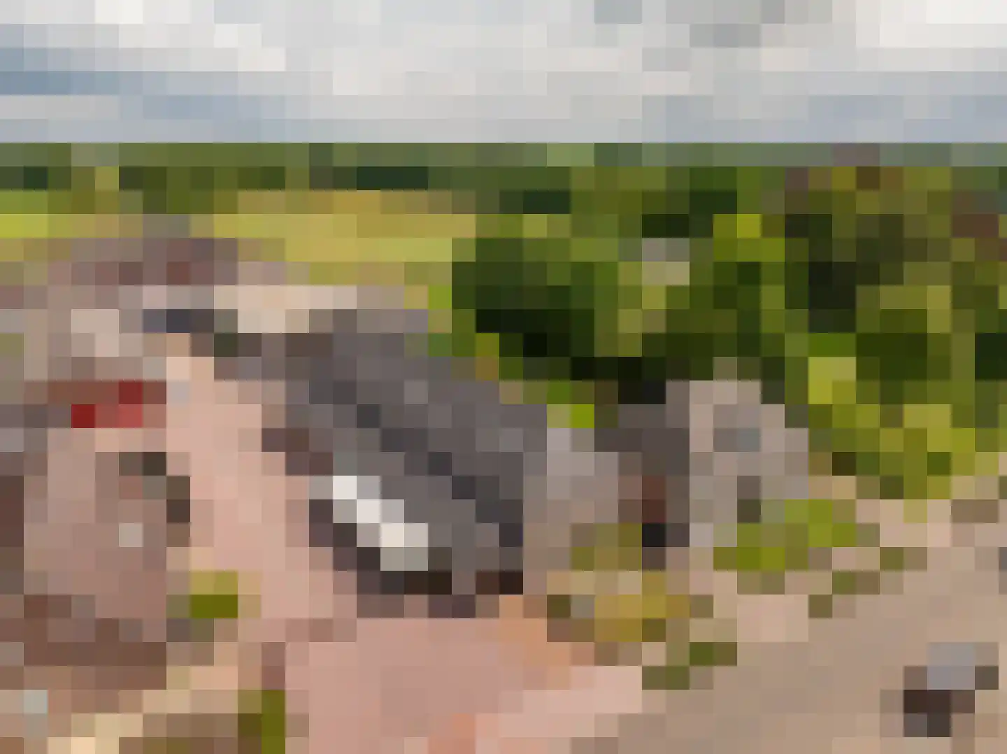 Dorpsstraat 78 a Koekange thumbnail 6