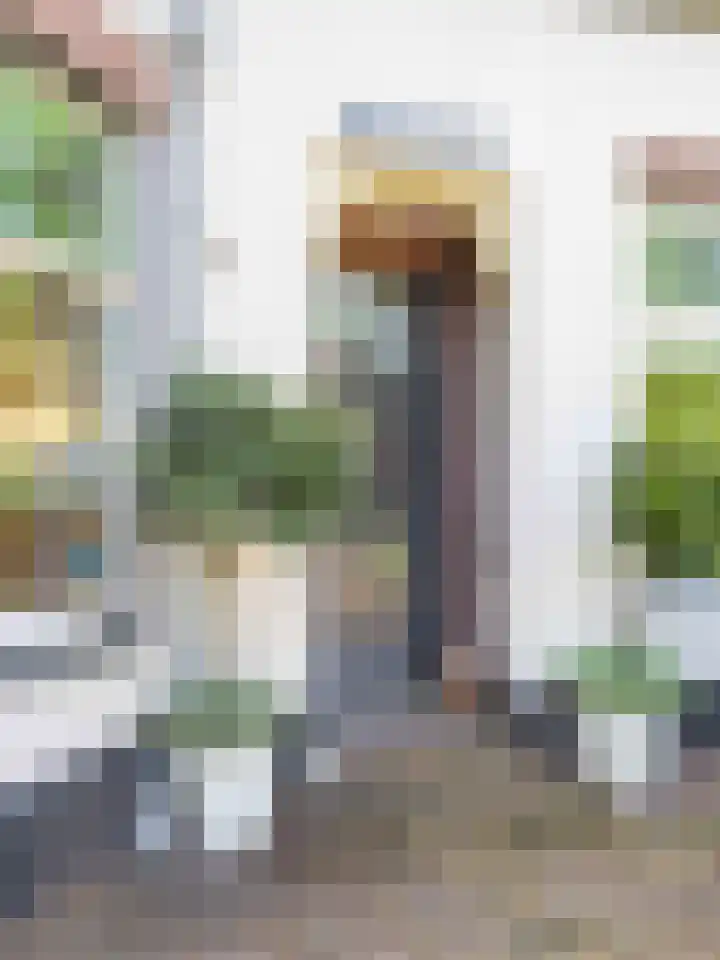 Dorpsstraat 78 Bergen (NH) thumbnail 67