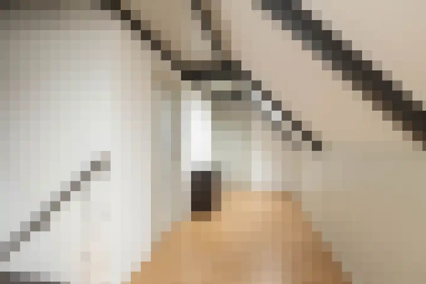 Dorpsstraat 78 Koekange thumbnail 40