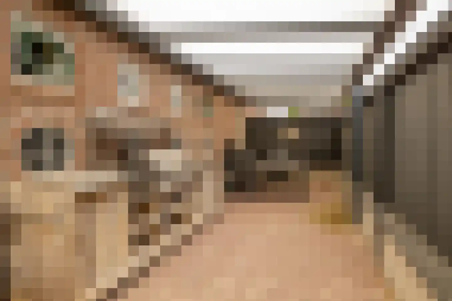 Dorpsstraat 78 Koekange thumbnail 50
