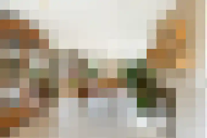 Dorpsstraat 78 Krimpen aan de Lek thumbnail 10