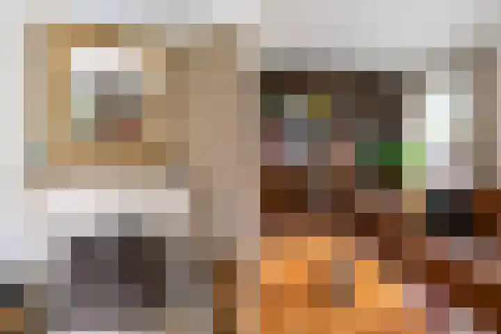 Dorpsstraat 78 Krimpen aan de Lek thumbnail 16